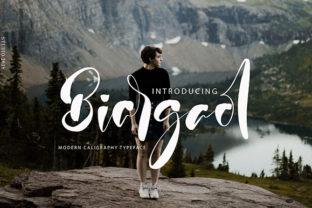 Biargaol: A Playful Script Handwritten Font for Creative Design