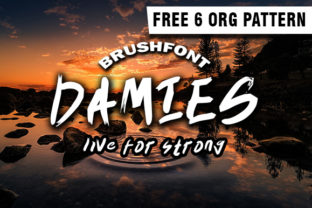 Damies: The Font That Elevates Your Brand’s Visual Story