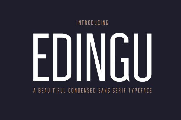 Edingu Family for Modern Campaigns and Branding