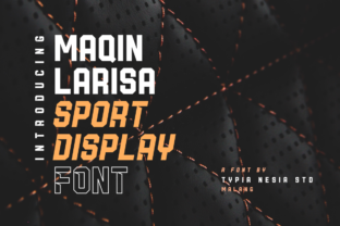 Maqin Larisa: A Font That Elevates Your Brand