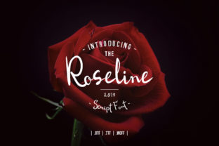 Roseline Script: The Perfect Font for Handwritten Branding