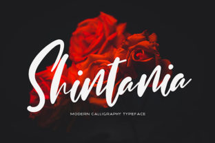 Shintania: The Font That Transformed My Brand