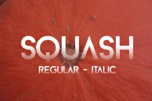 Squash Effect: A Bold Sans Serif Font for Crafters and Designers