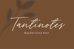 Tantinotes: A Font That Breathes Life into Branding