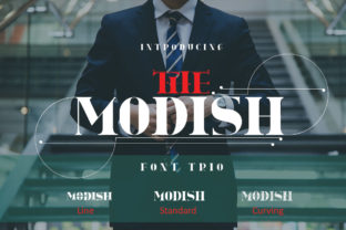 The Modish: A Bold Sans Serif Font for Modern Editorial Design